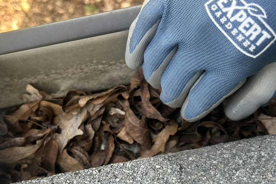 Gutter Cleaning Key Biscayne FL