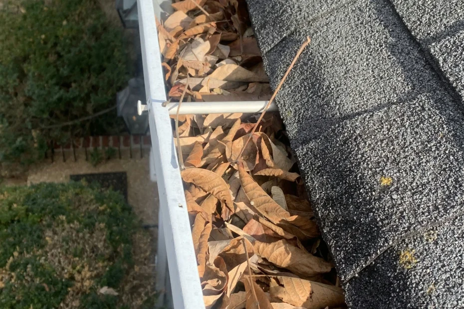 Gutter Cleaning Key Biscayne FL