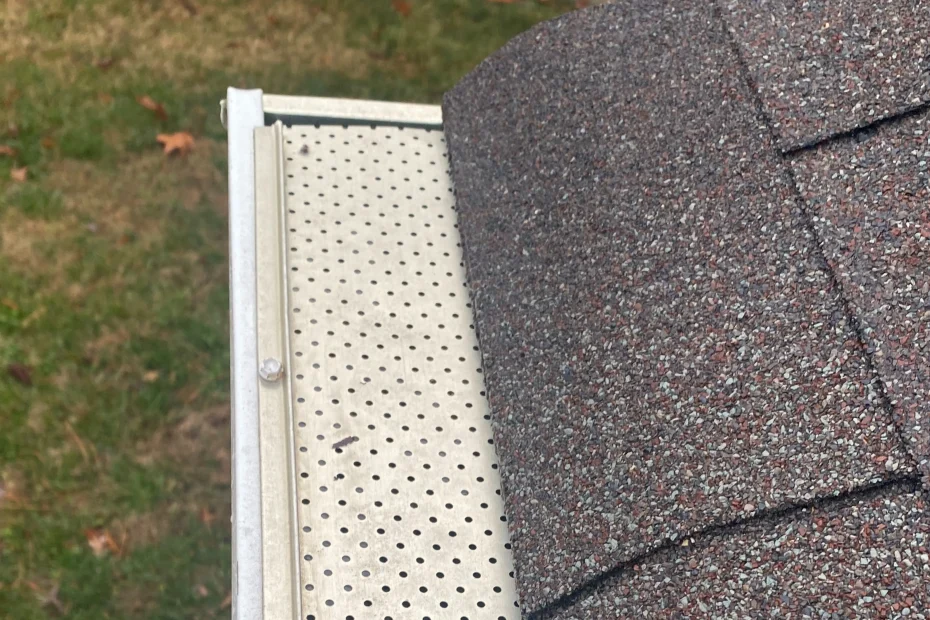 Gutter Cleaning Key Biscayne FL